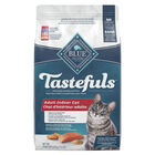 Blue Buffalo Tastefuls Indoor Health Natural Adult Dry Cat Food, Salmon & Brown Rice image number null