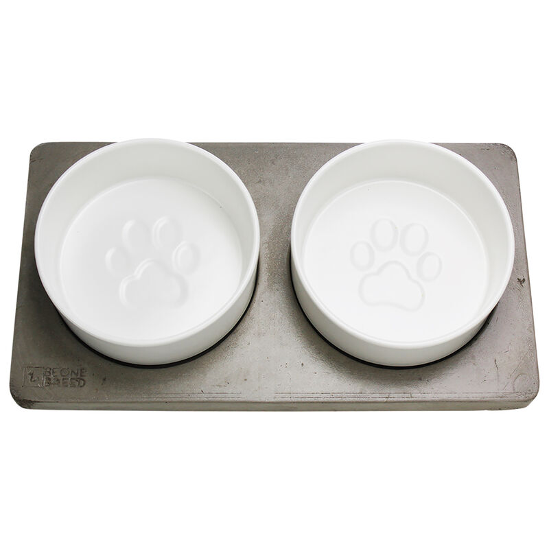 BeOneBreed, Bowl Duo on Concrete Base - Dog Bowl image number null