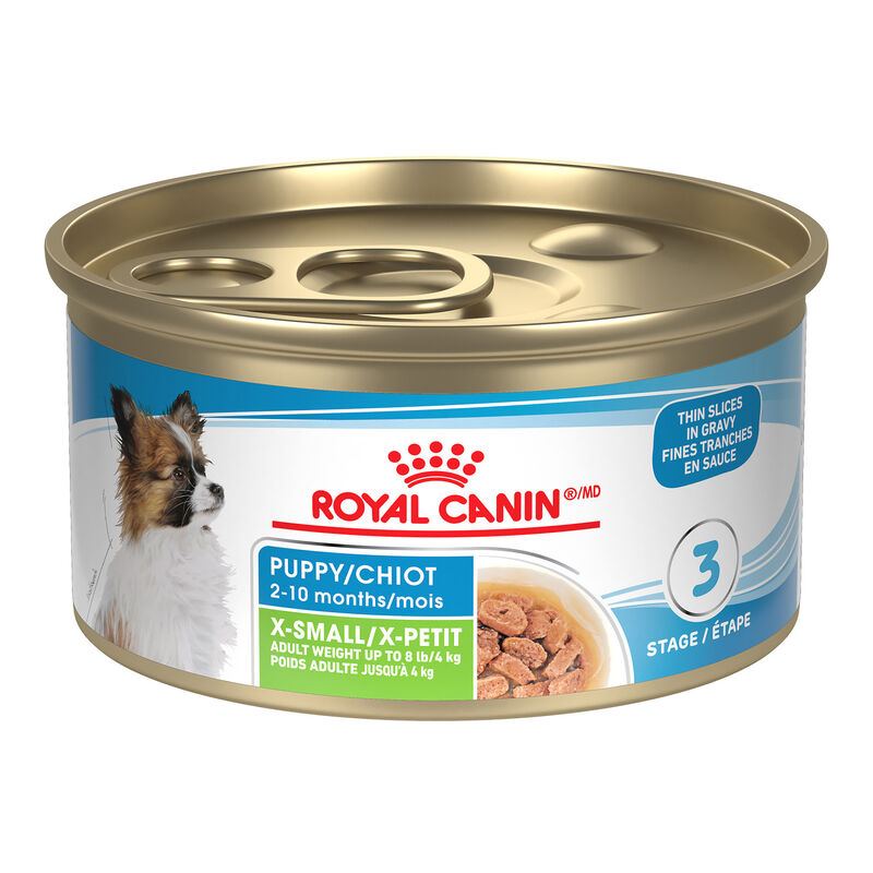 Royal Canin, Size Health Nutrition Extra Small Puppy Chunks in Gravy 24/3oz - Wet Dog Food image number null