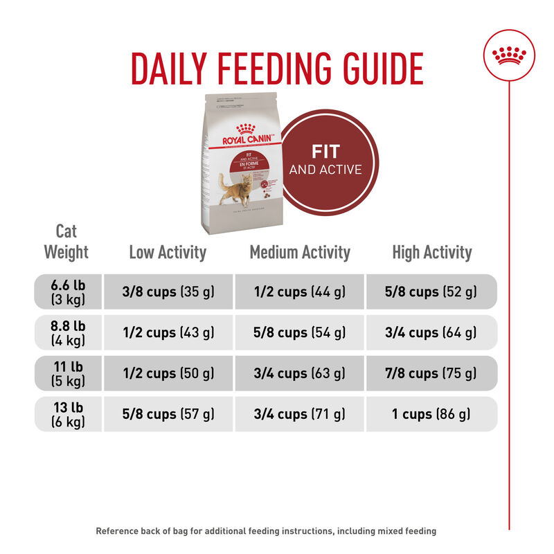 Royal Canin, Feline Health Nutrition Fit And Active Dry Adult - Dry Cat Food image number null
