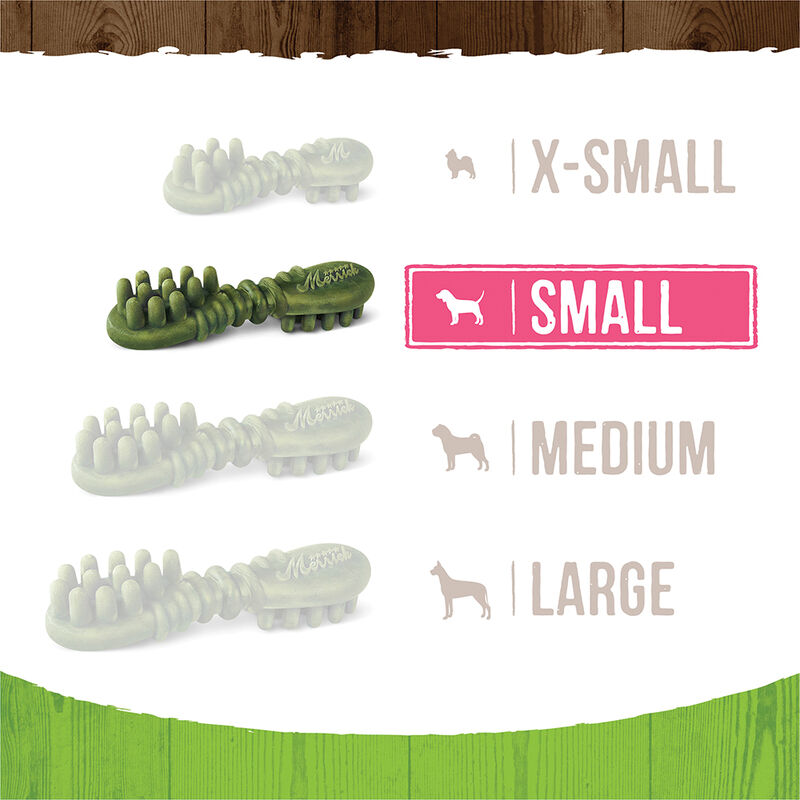 Merrick, Fresh Kisses Brush - Coconut - Dog Treat image number null
