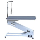 Q, Big Z Shape Electric Lifting Table image number null