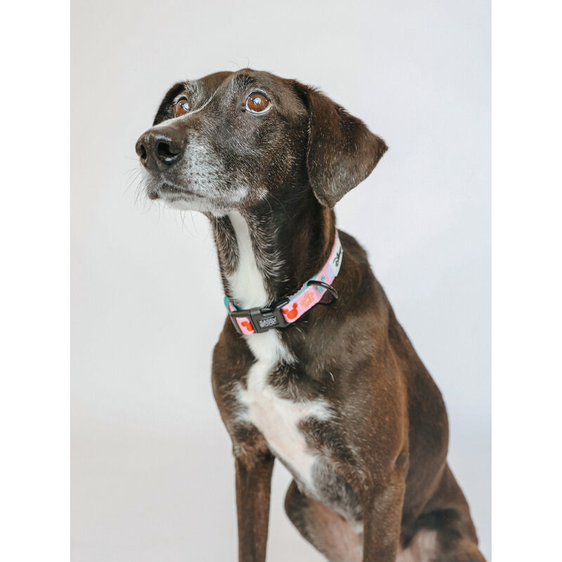 Sassy Woof, Minnie Mickey Collar and Leash Set for Dogs - Small image number null
