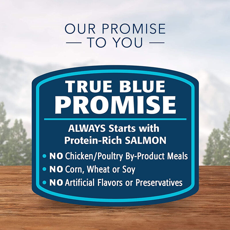 Blue Buffalo, Wilderness, Salmon Canned Cat Food - 165 g - Wet Cat Food image number null