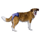 Pooch Pad, PoochPants - Diaper - X-Small - 4 - 8 lbs image number null