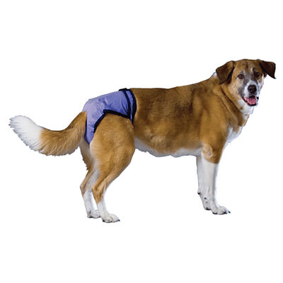 Pooch Pad, PoochPants - Diaper - X-Small - 4 - 8 lbs