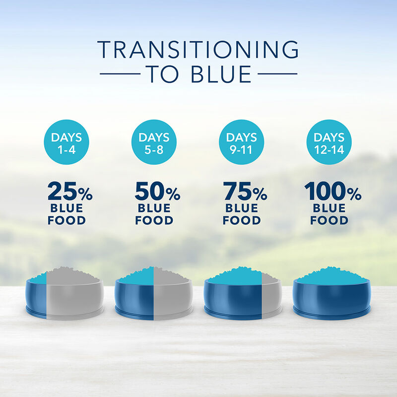 Blue Buffalo, Adult - Life Protection - Beef - Dry Dog Food image number null