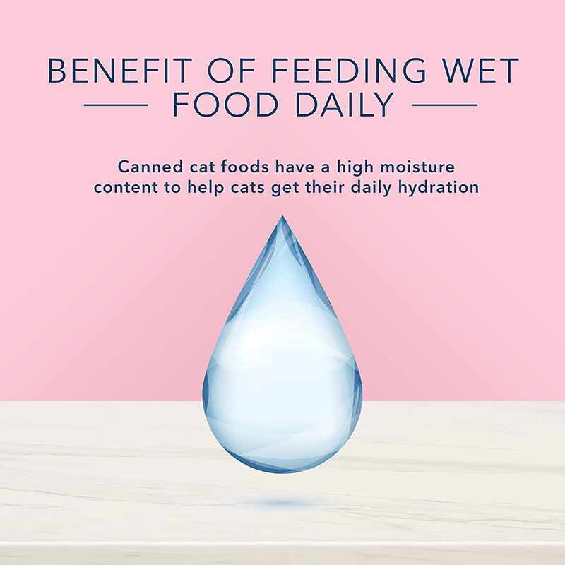 Blue Buffalo, Can, Feline Adult - True Solutions - Digestive Care - Wet Cat Food image number null