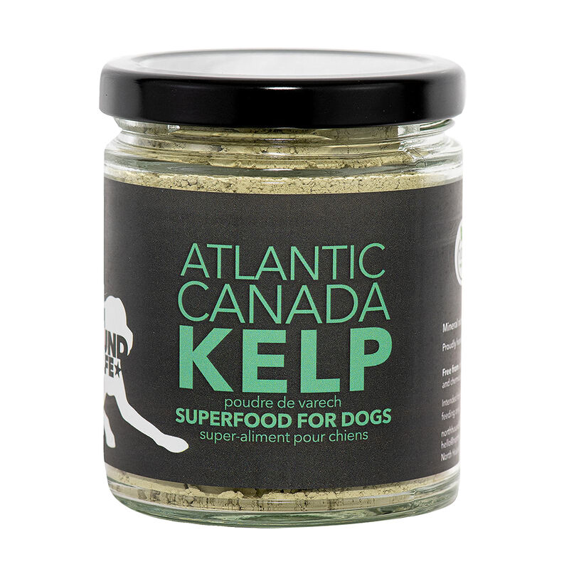 North Hound Life, Organic Kelp - 250 ml image number null