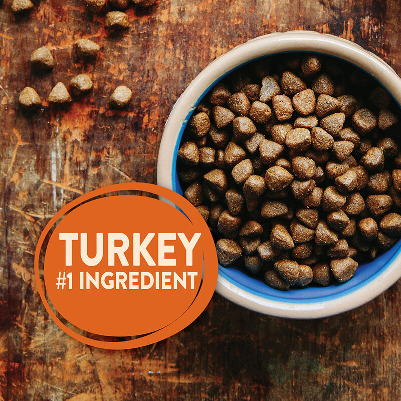 Wellness, Core, Grain Free Reduced Fat - Dry Dog Food image number null