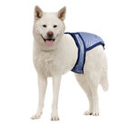 Pooch Pad, PoochPants - Diaper - X-Small - 4 - 8 lbs image number null