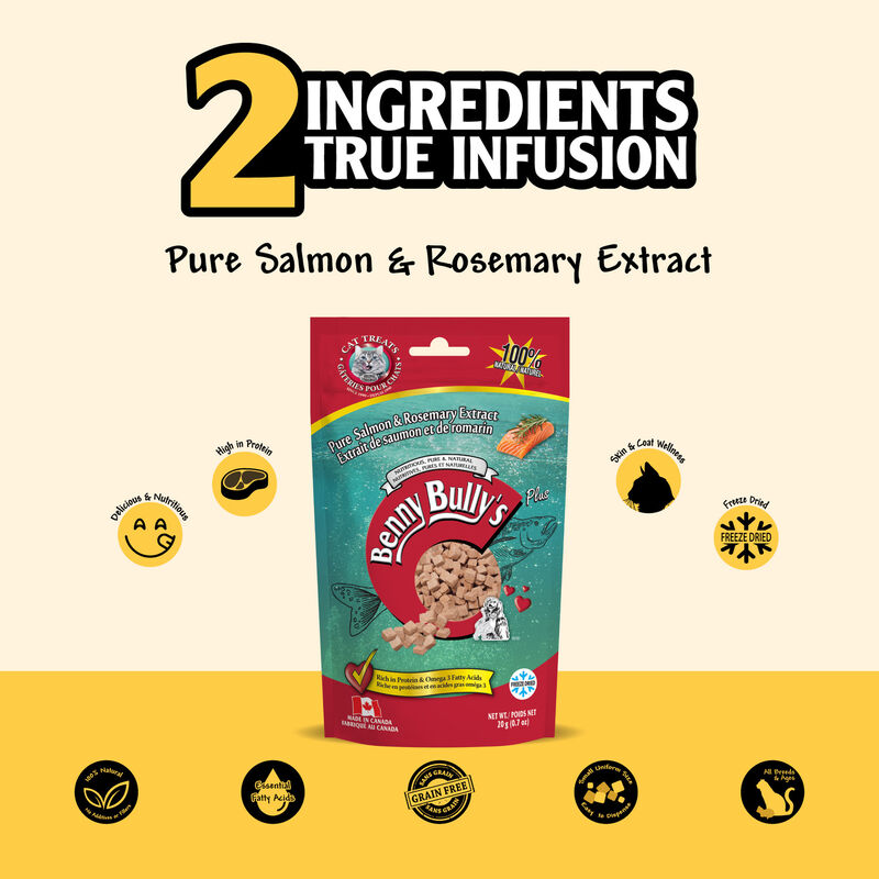 Benny Bully's, Feline Salmon Chops - 20 g - Cat Treat image number null