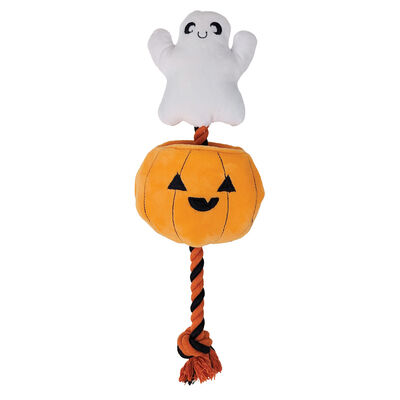 Zoom, Ghost Toy