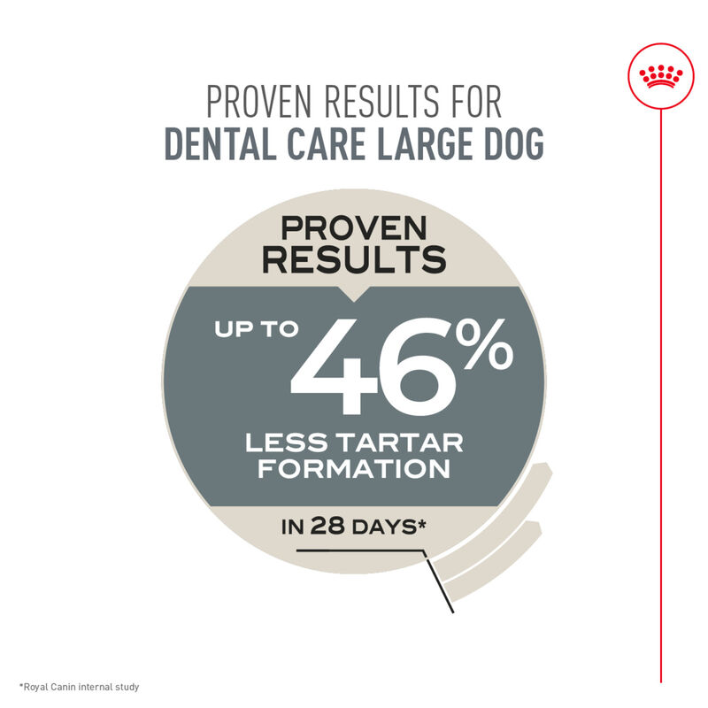 Royal Canin, Canine Care Nutrition Dental Large Dog Food - Dry Dog Food image number null