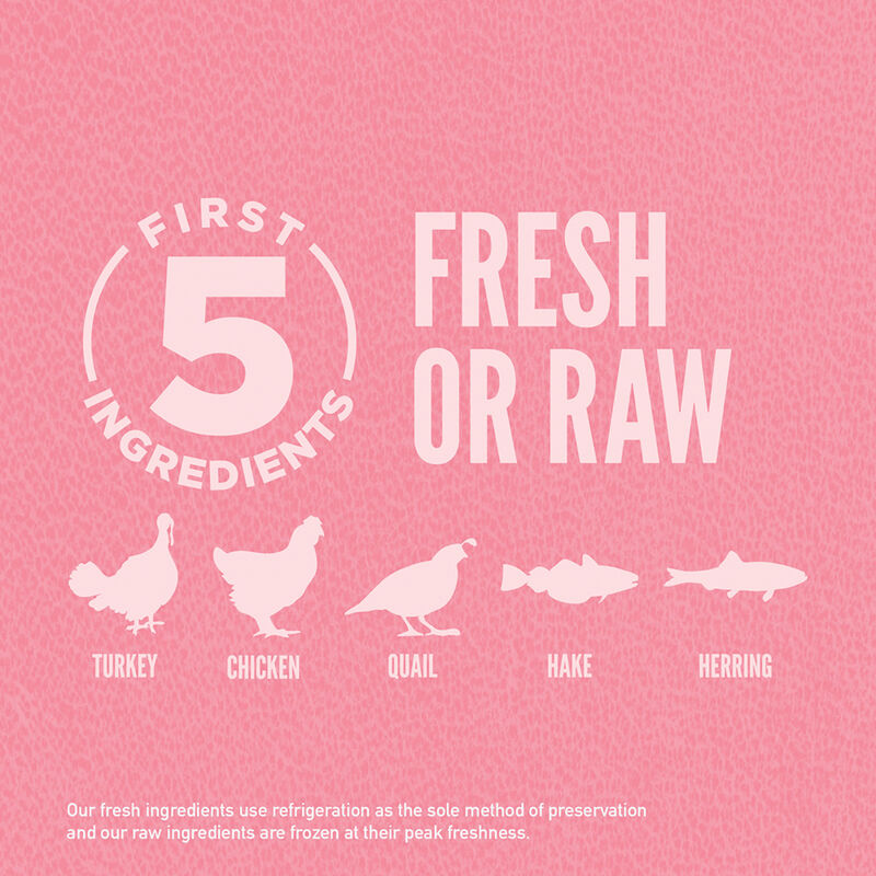 Orijen, Adult - Small Breed - Dry Dog Food image number null