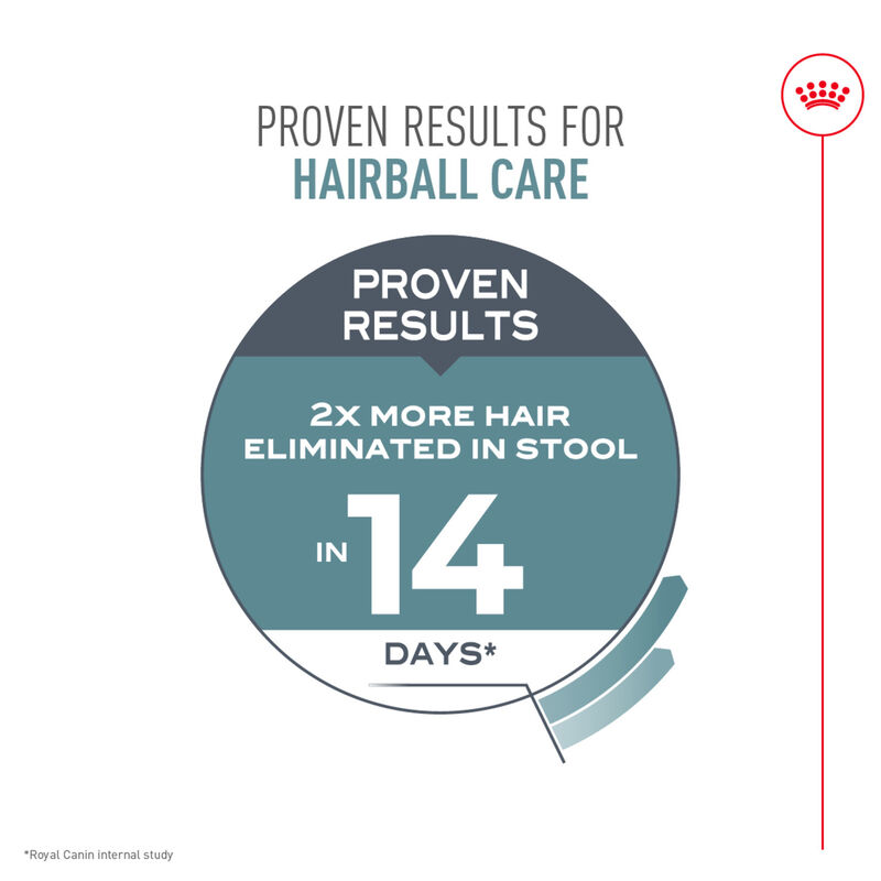 Royal Canin, Feline Care Nutrition Indoor Hairball Care - Dry Cat Food image number null