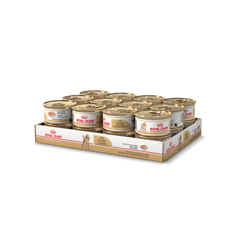 Royal Canin, Breed Health Nutrition Poodle Adult - Dry Dog Food image number null