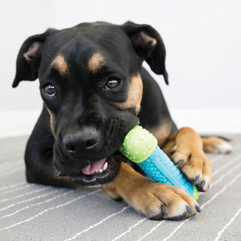 KONG, Core Strength Bone - Toss Dog Toy image number null