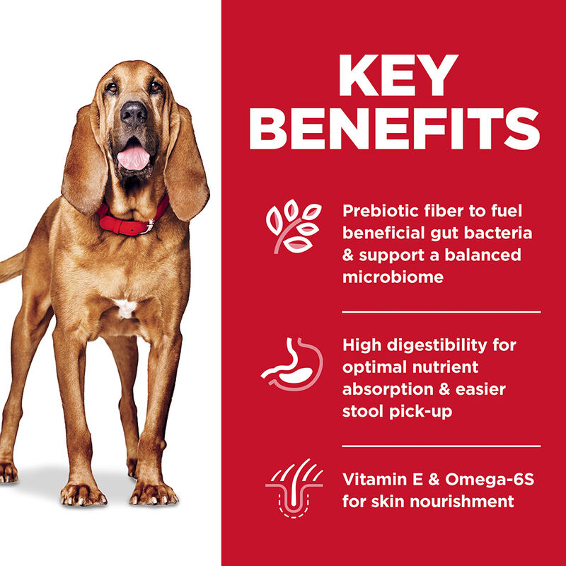 Science Diet, Adult Sensitive Stomach & Skin Large Breed Chicken Recipe Dry Dog Food - Dry Dog Food image number null