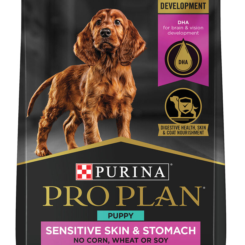 Purina Pro Plan Sensitive Skin & Stomach Puppy  with Probiotics, Salmon & Rice, Dry Dog Food Formula image number null
