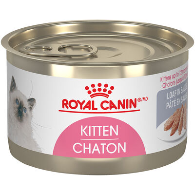 Royal Canin, Can, Kitten - Loaf In Sauce - 145 g - Wet Cat Food
