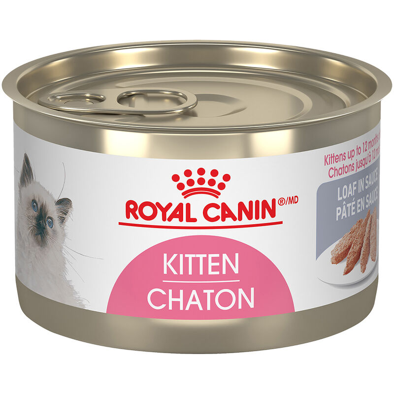 Royal Canin, Can, Kitten - Loaf In Sauce - 145 g - Wet Cat Food image number null