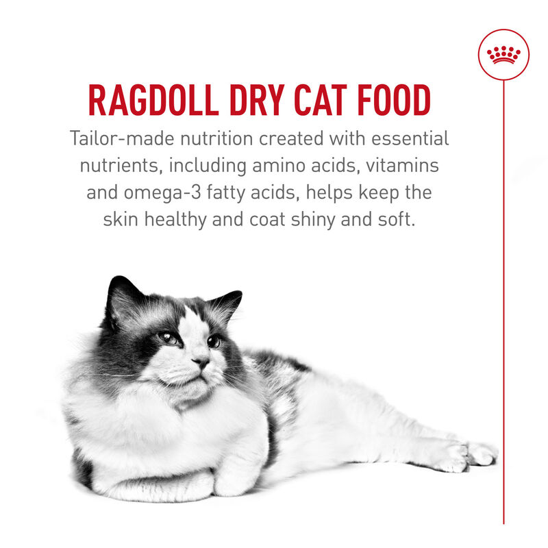 Royal Canin, Feline Breed Nutrition Ragdoll - Dry Cat Food image number null