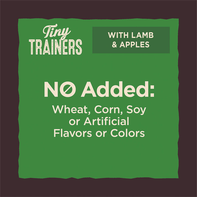 Wellness, Core - Tiny Tasters GF Treats - Lamb & Apple - 170 g - Dog Treat image number null