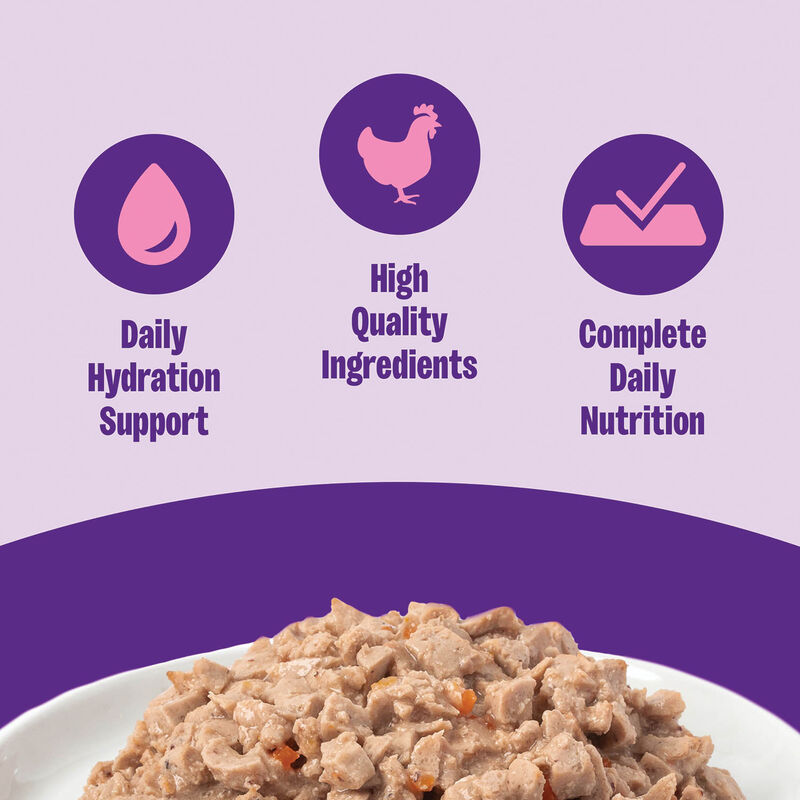 Wellness, Canned Cat Food, Complete Health, Chicken - Wet Cat Food image number null