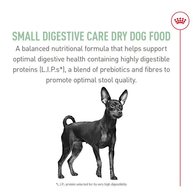 Royal Canin, Size Health Nutrition Small Digestive Care - Dry Dog Food image number null