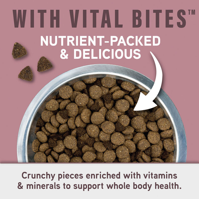 Natural Balance, Specialized Nutrition - Sensitive Skin & Stomach Salmon & Oatmeal Formula - Dry Dog image number null