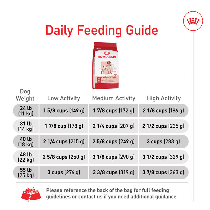 Royal Canin, Adult - Size Health Nutrition - Medium - Dry Dog Food image number null