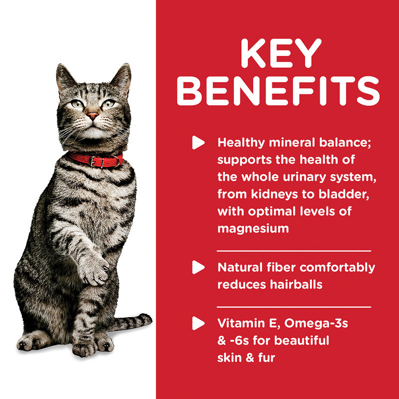Science Diet, Adult Urinary & Hairball Control Savory Chicken Canned Cat Food - Wet Cat Food image number null