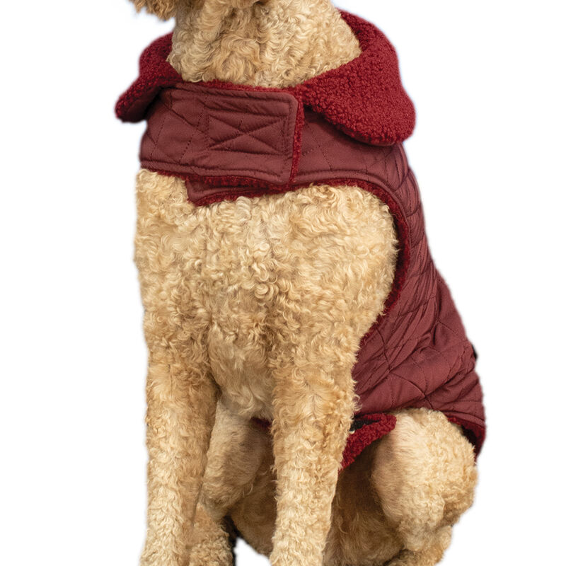 Canada Paws, Quilted Barn Coat - Burgundy - Dog Coat image number null