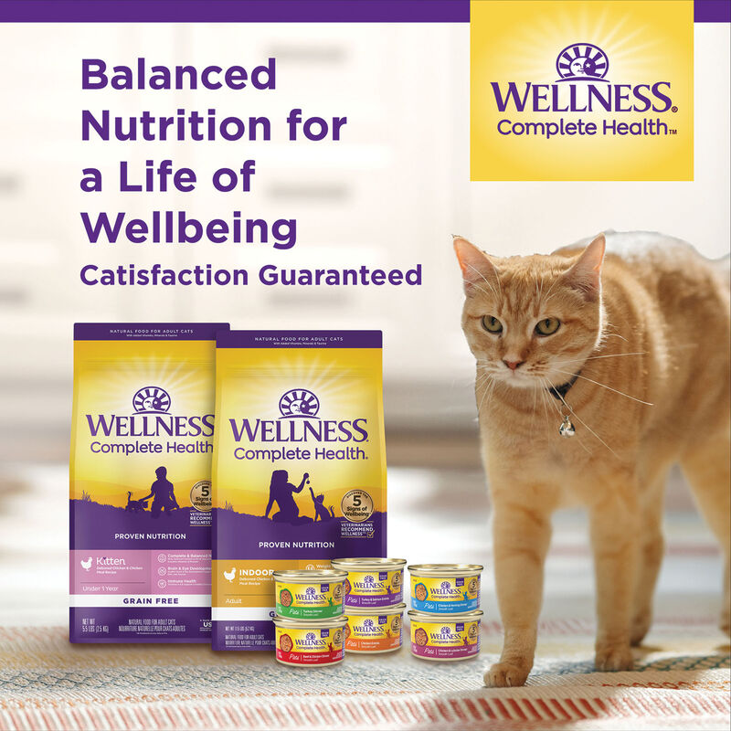 Wellness, Complete Health Kitten Chicken & Rice - 2.27 kg - Dry Cat Food image number null