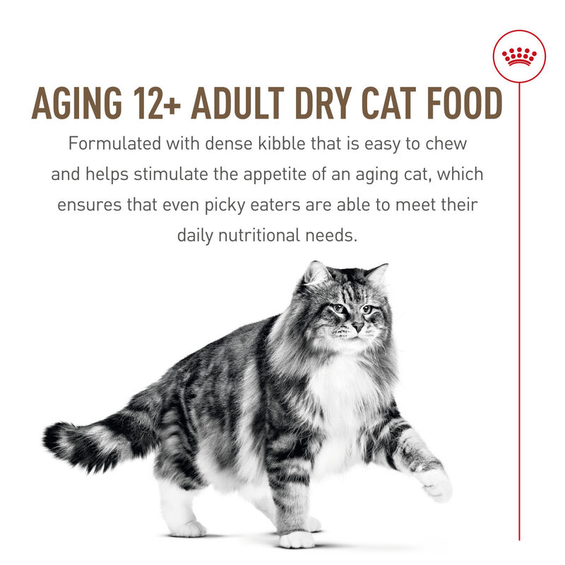 Royal Canin, Feline Health Nutrition Aging 12+ Dry Adult - Dry Cat Food image number null