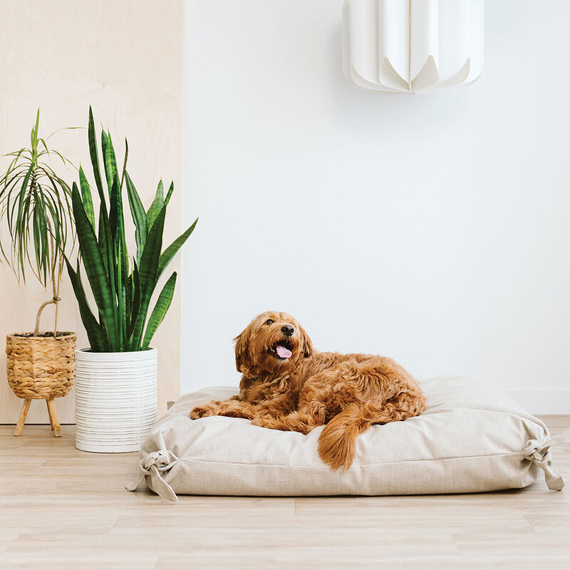 BeOneBreed, Cloud Pillow Knotted Bed - Beige Knit image number null