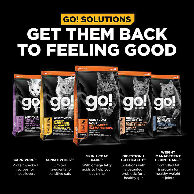 GO! SOLUTIONS SKIN + COAT CARE Grain Free Salmon Recipe for cats image number null