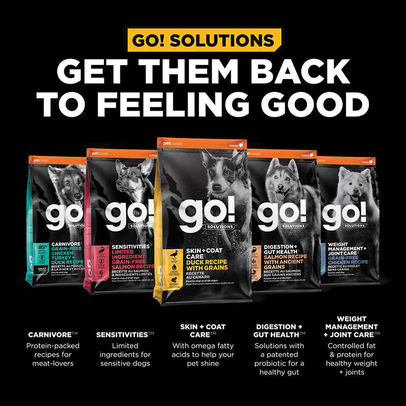 GO! SOLUTIONS, SKIN + COAT CARE Duck Recipe with Grains for dogs - Dry Dog Food image number null