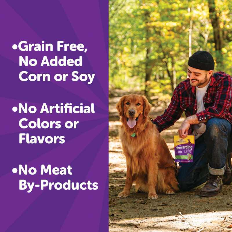 Wellness, Wellbites, Lamb & Salmon Soft Dog Treats - 6 oz - Dog Treat image number null