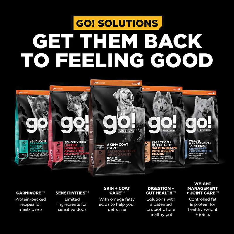 GO! SOLUTIONS, Puppy LB - Skin & Coat w/ Grains - Salmon - Dry Dog Food image number null
