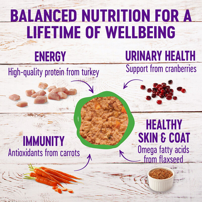 Wellness, Canned Cat Food, Complete Health, Turkey - Wet Cat Food image number null