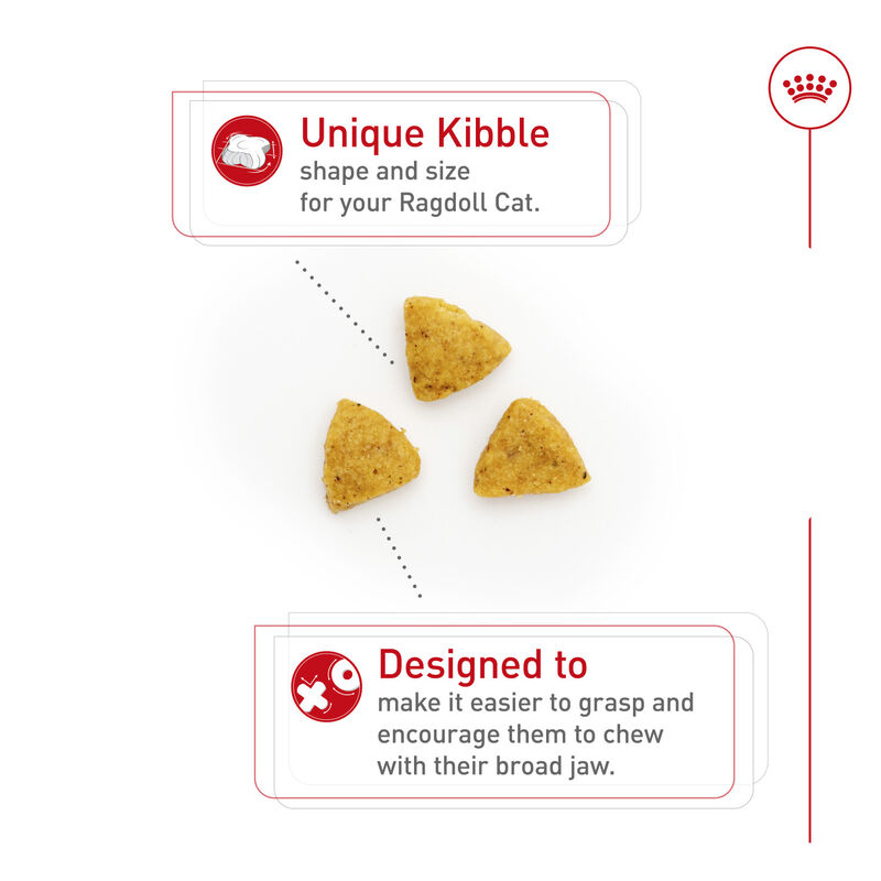 Royal Canin, Feline Breed Nutrition Ragdoll - Dry Cat Food image number null