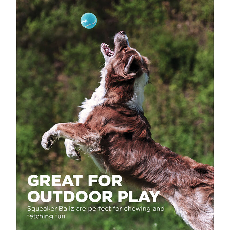 Outward Hound, Squeaker Ballz - 4 pk - Large image number null