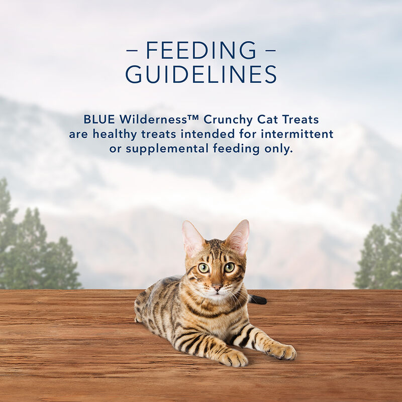 Blue Buffalo, Feline Treat - Wilderness - Crunchy Salmon - 56 g - Cat Treat image number null