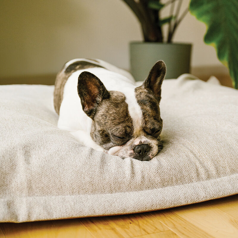 BeOneBreed, Cloud Pillow - Beige Faux Leather image number null