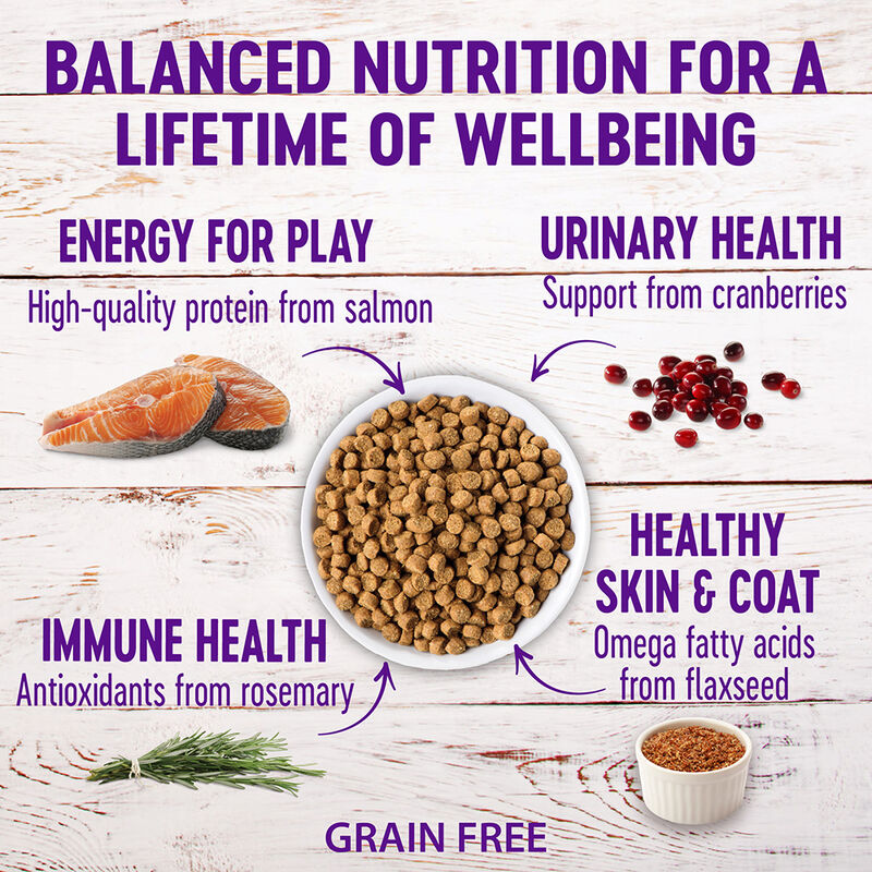 Wellness, Feline Adult - Grain Free -Complete Health - Indoor - Salmon & Herring Meal Recipe - Dry C image number null