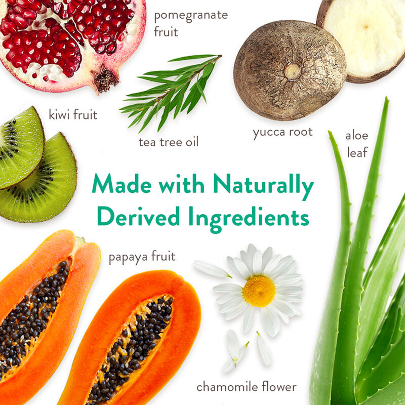 Tropiclean, Oatmeal & Tea Tree Shampoo image number null