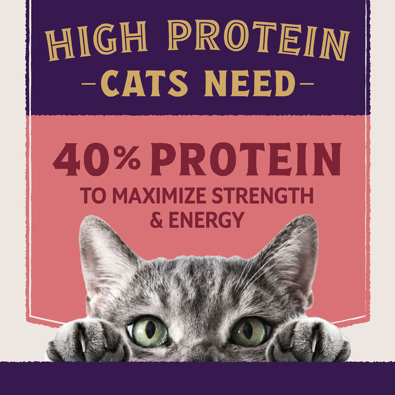 Natural Balance, Ultra Protein Plus - Skin & Coat & Digestive Health - Salmon & Chicken Meal Recipe image number null