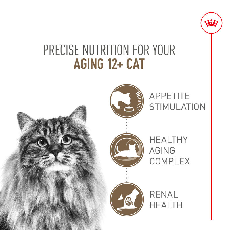 Royal Canin, Feline Health Nutrition Aging 12+ Dry Adult - Dry Cat Food image number null